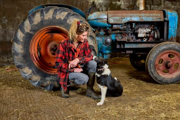 Brits reveal top 20 toughest everyday jobs - and some might surprise you