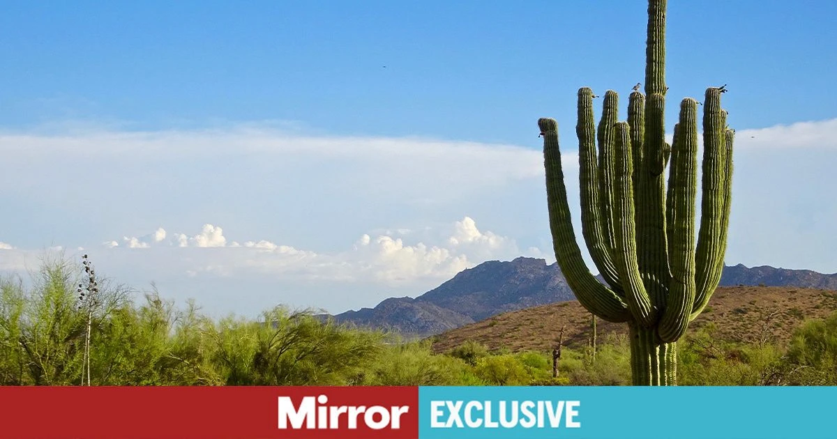 opinion‘I went to Arizona expecting a week of wellness but this activity made my heart race’