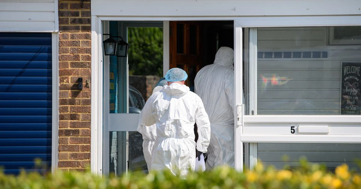Maidenhead murder probe as boy, 4, found dead and woman arrested