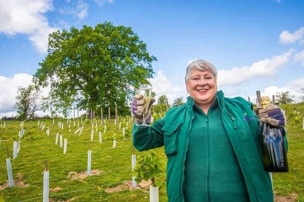Couple 'jumped up and down' after creating Scotland's first 'champagne' in potato field
