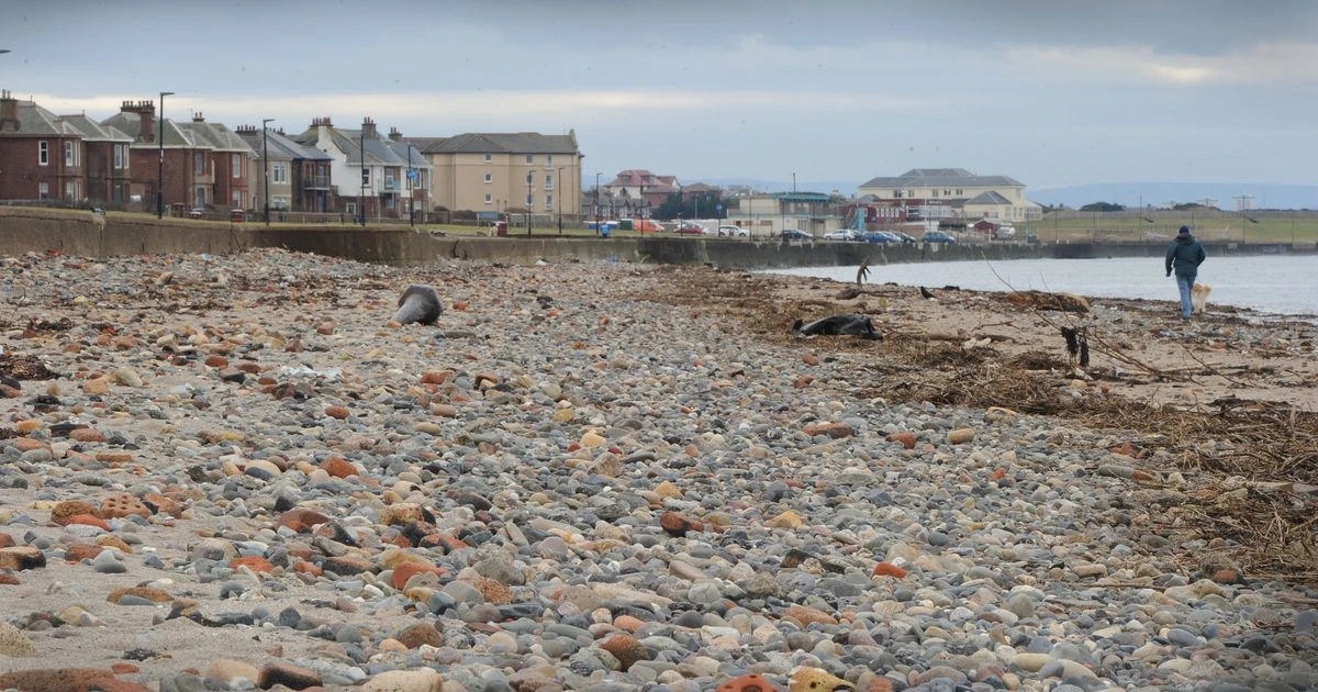 Prestwick Beach horror find as leg still wearing shoe and sock washes ashore