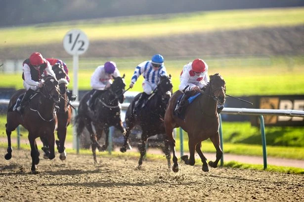 'Scorch to victory' - Monday's racing best bet of the day will be too hot for his rivals