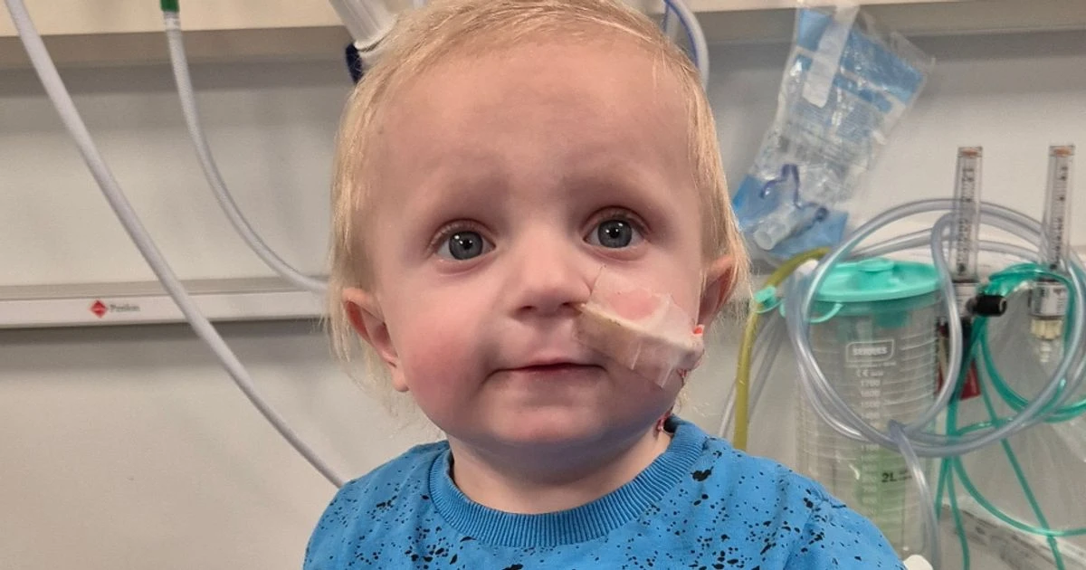 Doctors thought toddler just had a sickness bug - then he was given a day to live