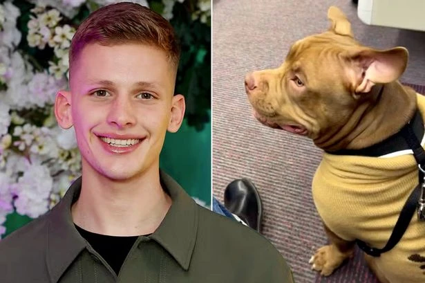 Freddy Brazier's deadline to save pet dog from being put down after brutal double attack