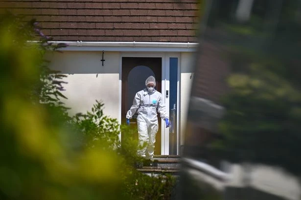 Major update in Ann Widdecombe murder investigation as police describe suspect