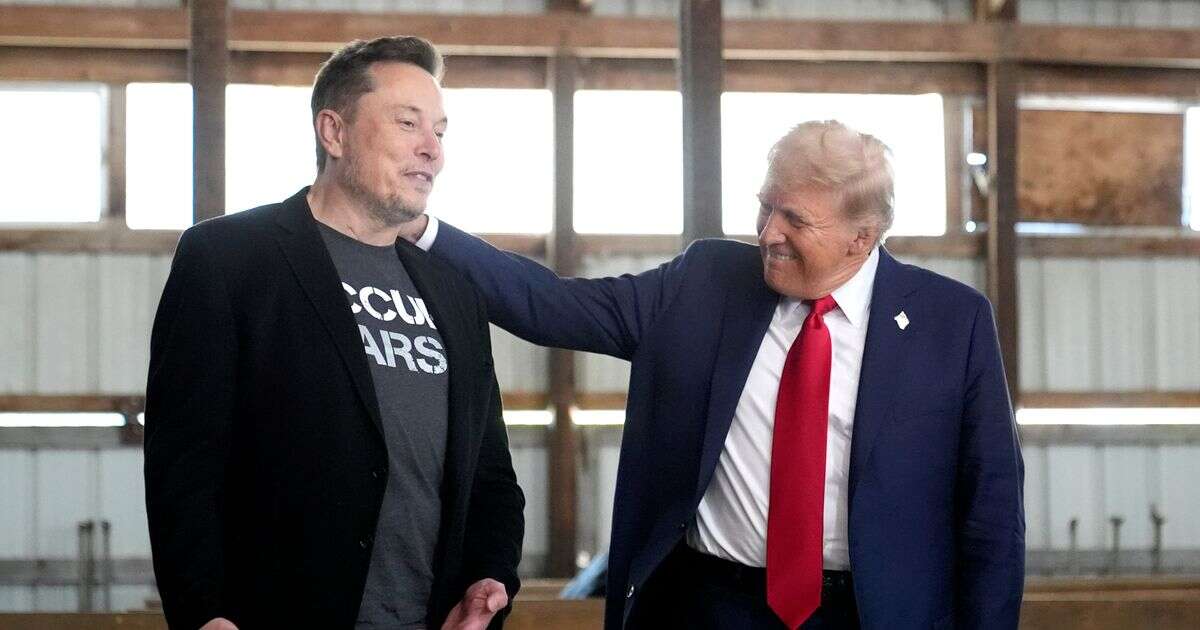 opinion'Donald Trump and Elon Musk's doomed bromance is a recipe for political disaster'