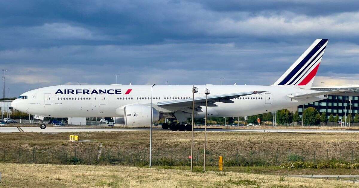 Air France flight forced to make emergency landing after 'passenger clogged toilet'