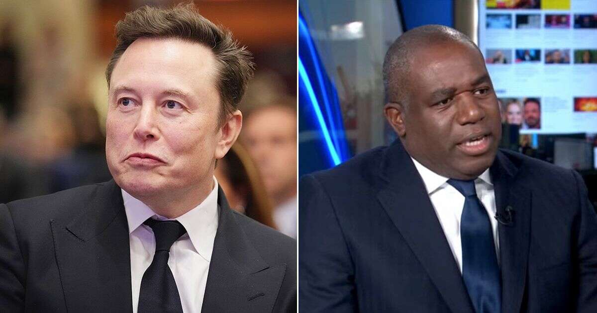 David Lammy gives four-word message to Elon Musk over 'mistruths'