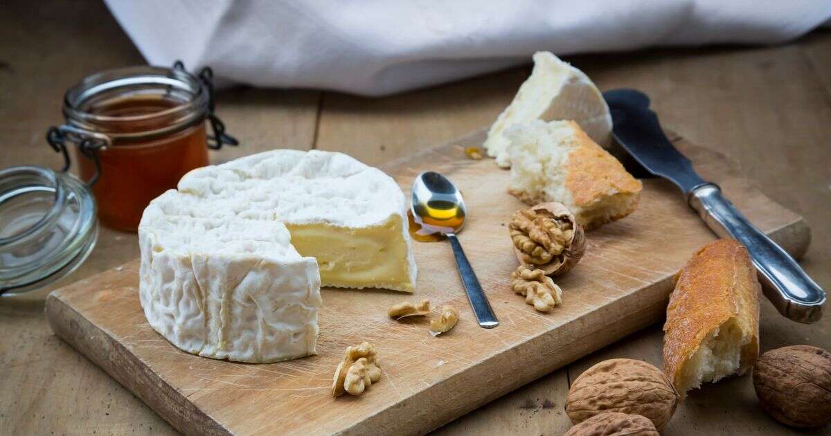 Alzheimer’s and memory problems could be thwarted with specific cheese, new study finds