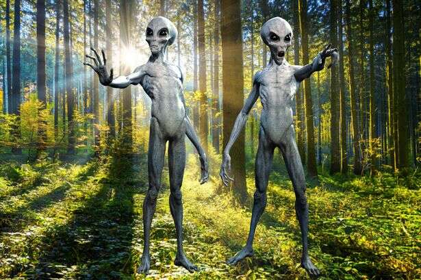 Humans created by 'ancient alien race' which is why we're 'so different from rest of world'