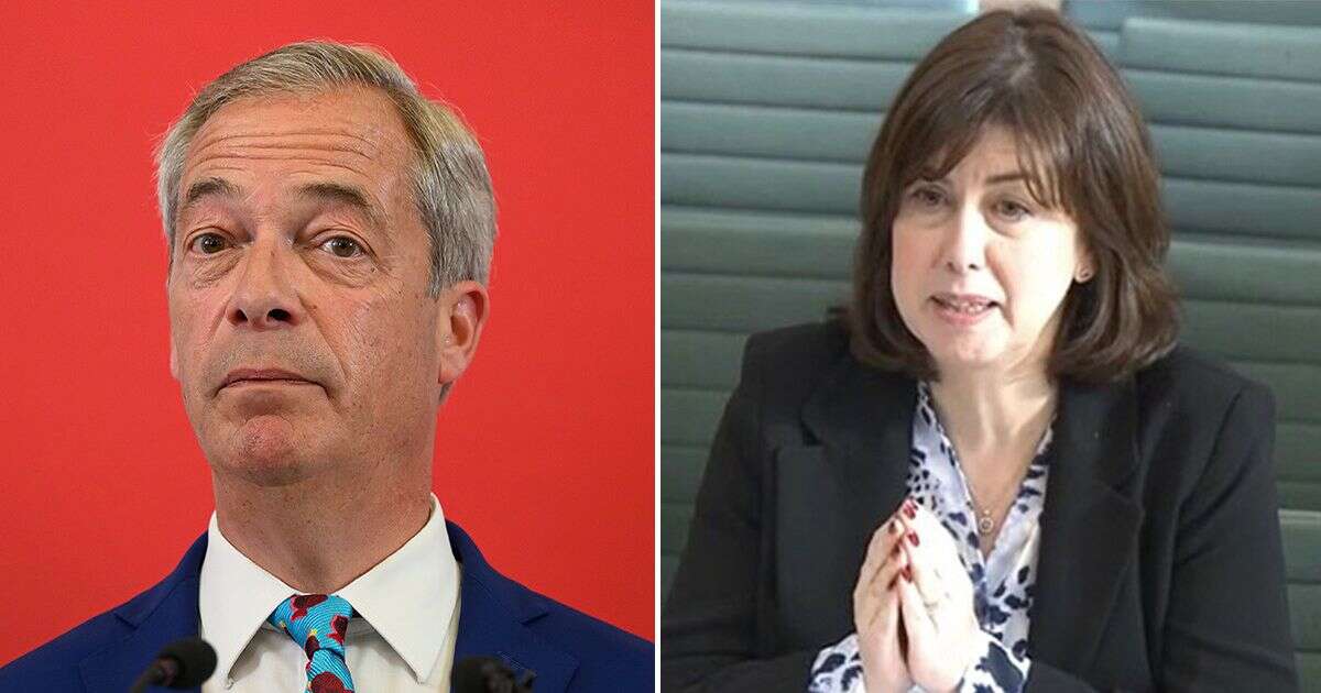 Labour minister's swipe at Nigel Farage in probe into MP second jobs