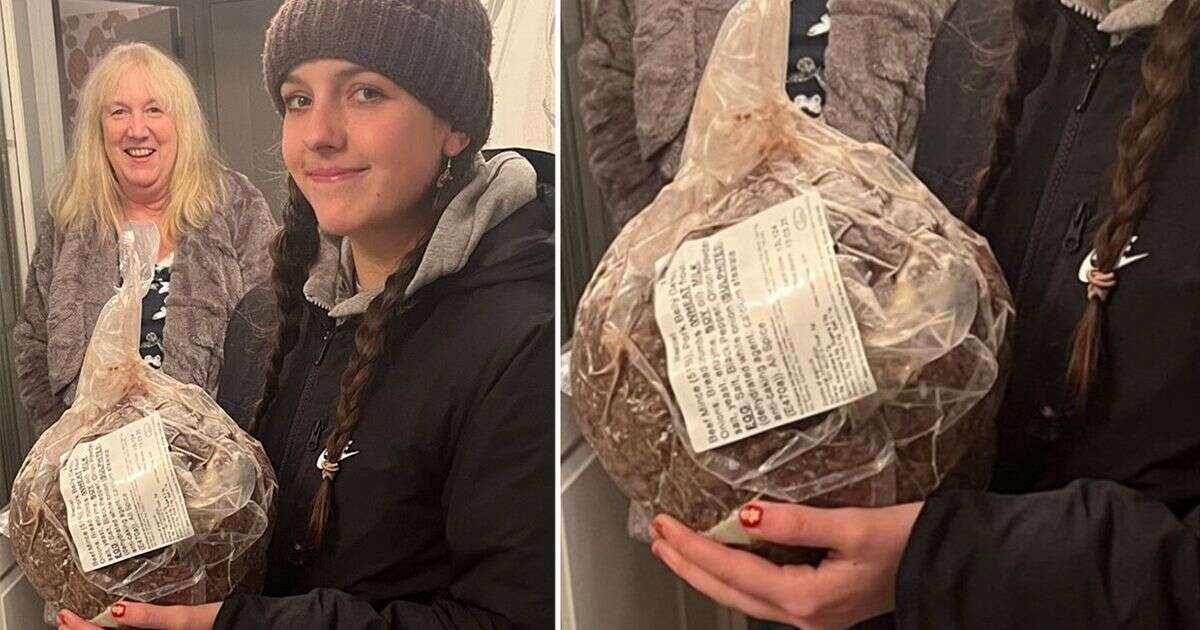 Ikea superfan wins giant meatball that weighs 5kg and is big enough to feed 25 people