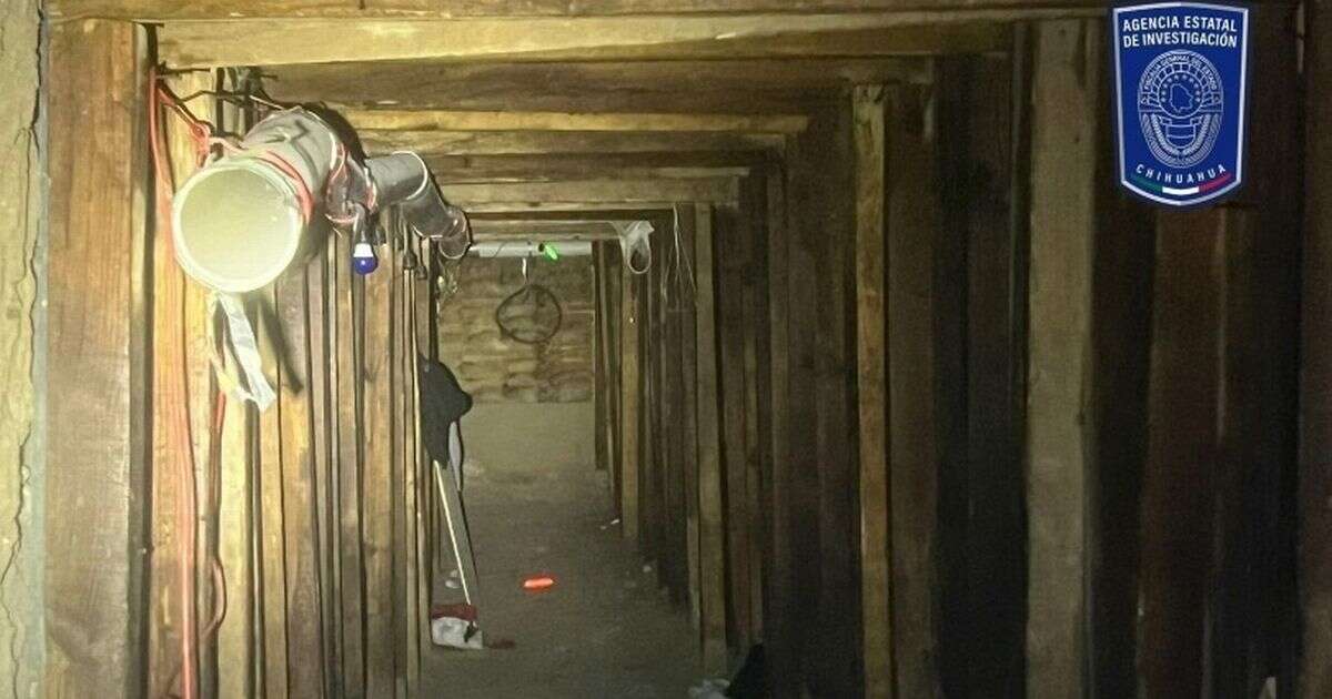 Migrant-smuggling mega tunnel found under US-Mexico border was promoted on TikTok