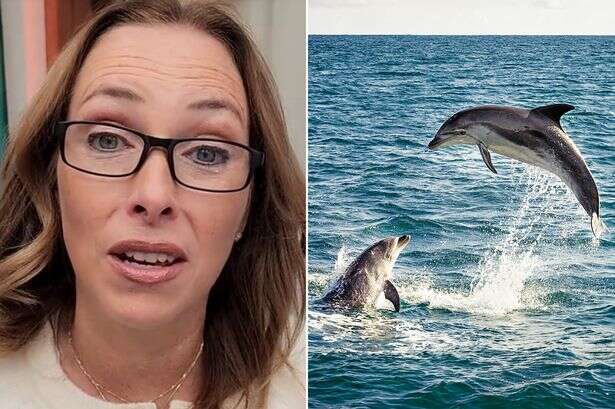 Doctor reveals key to living longer as she compares humans to dolphins