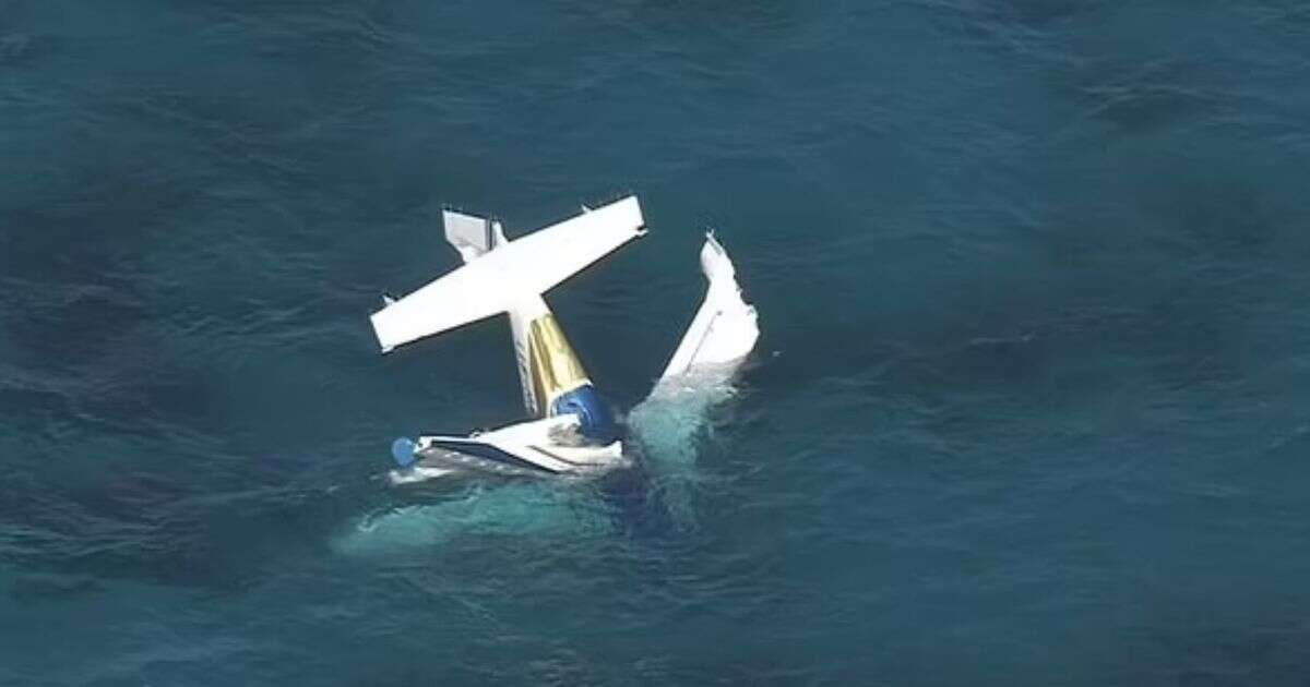 Seaplane full of passengers crashes near popular tourist island in horrifying images