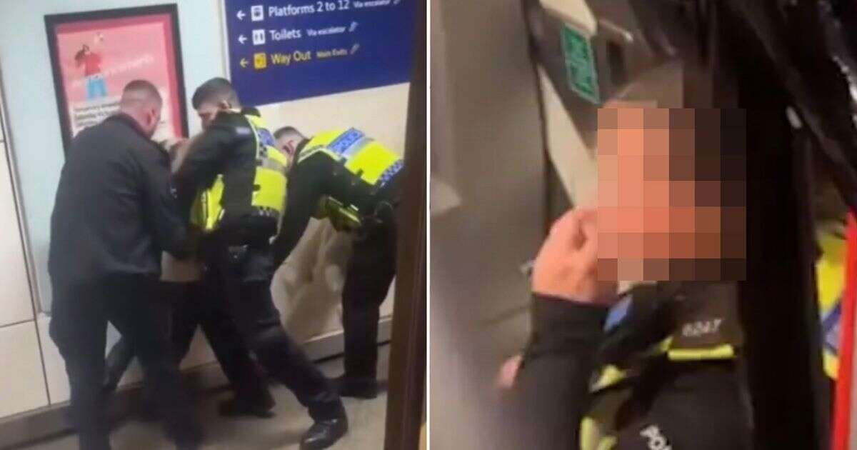 Moment woman ‘hits female cop in the face’ and leaves her sobbing in corner of train