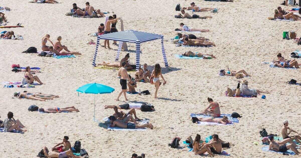 Australian PM wades into debate as new form of beach hogging grips nation