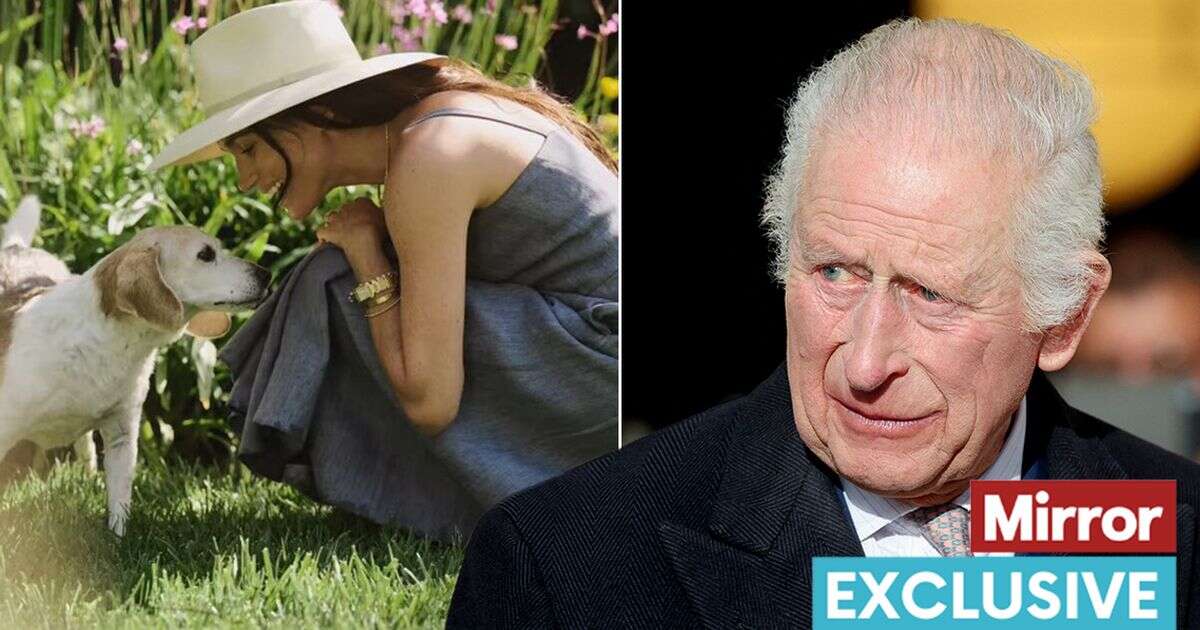 Meghan Markle sends 'poignant message' to King Charles as he yearns for grandchildrenVIDEO