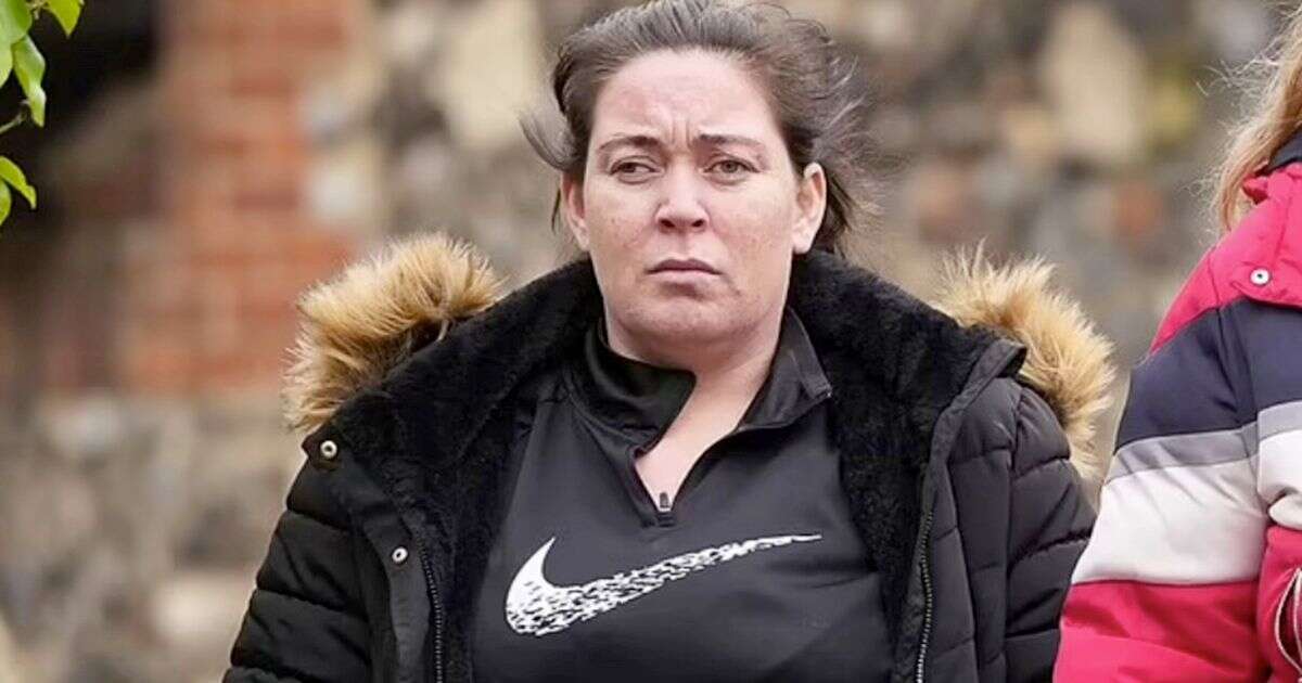 Woman faces jail for using kids as cover up to steal £4,000 worth of cuddly toys