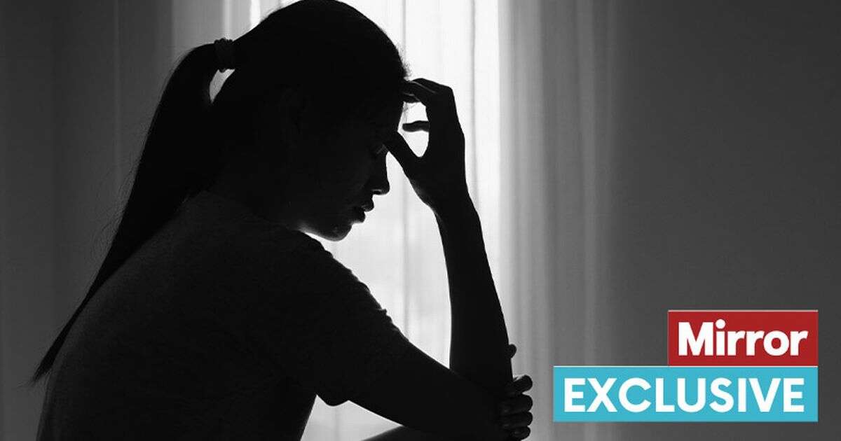 Domestic abuse victims could get 10 days of paid leave as MP recalls 'heartbreaking' story