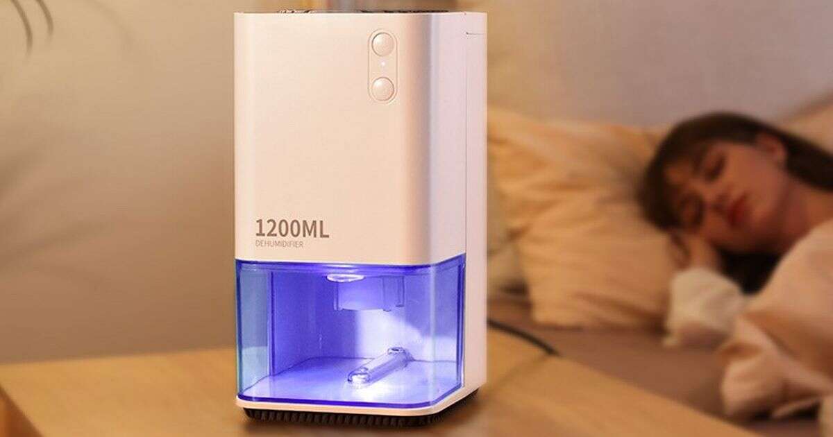 Amazon shoppers praise 'compact, quiet and effective' £37 dehumidifier that's 'cheap to run'