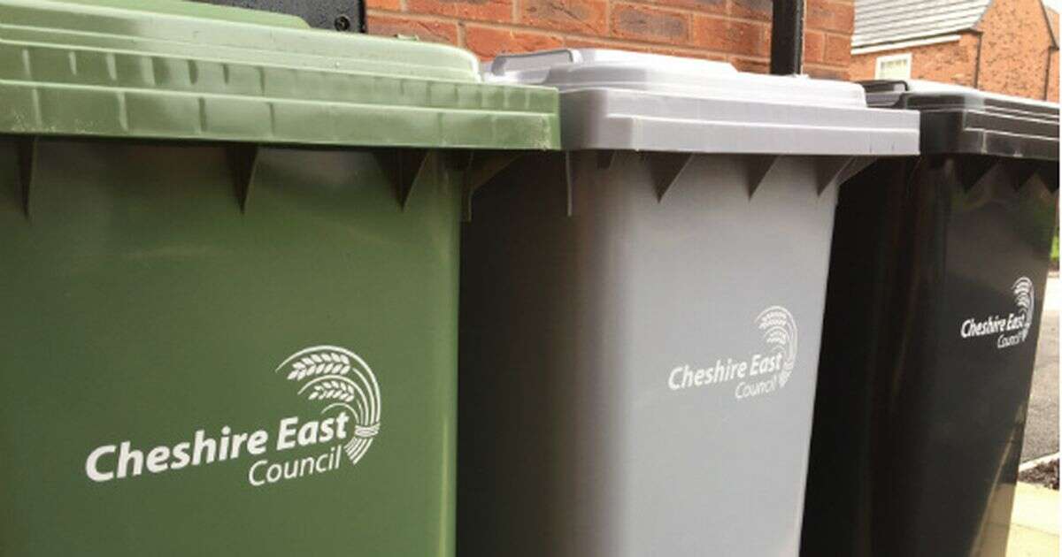 New bin collection rules for every household in England possible in 2025