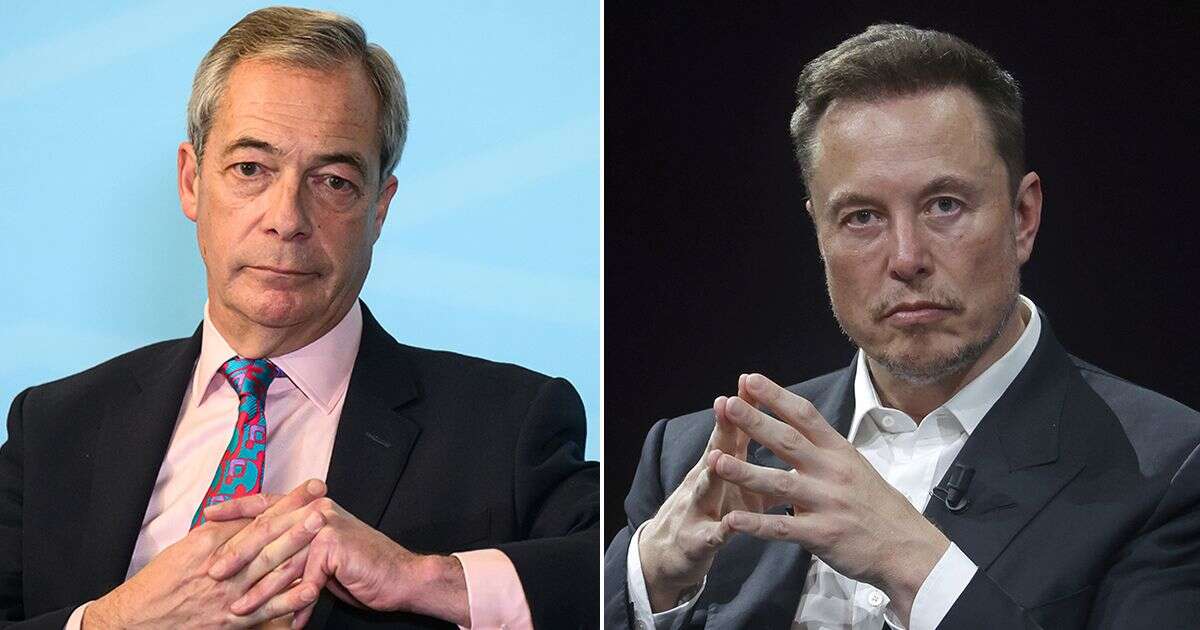 Nigel Farage says Elon Musk makes Reform 'look cool' - despite 'disgraceful smear' fury