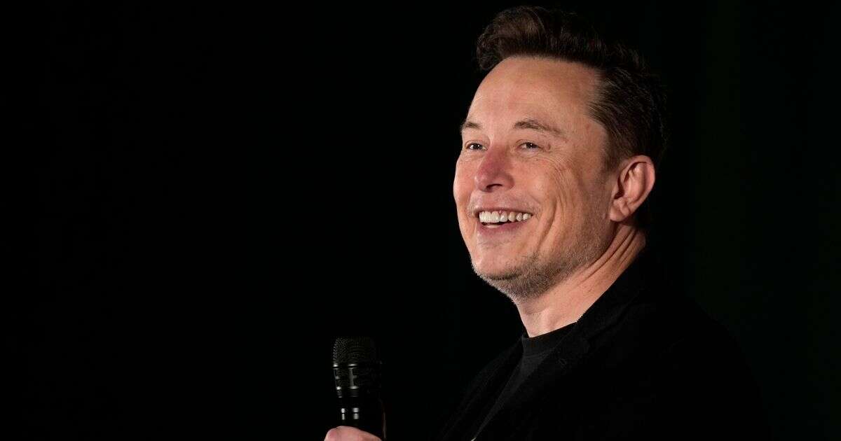 Polish town begs Elon Musk to buy its 13th Century castle with rich history for wild reason