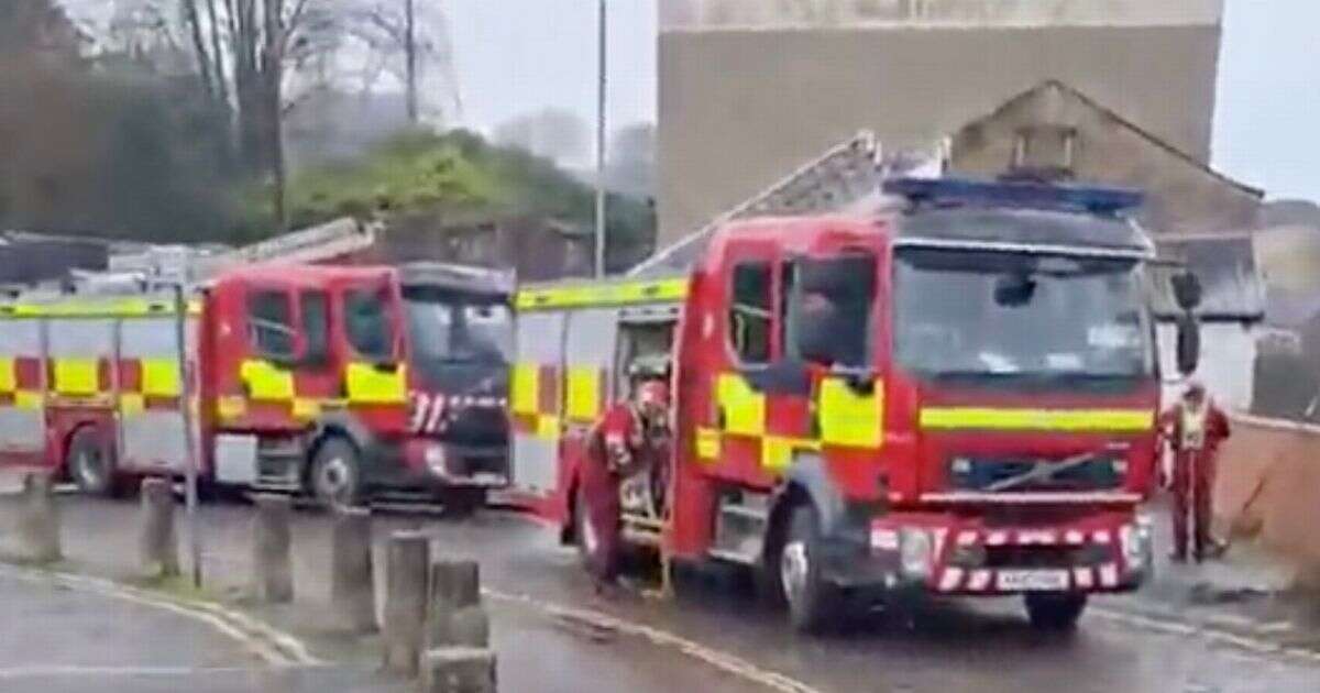 Elderly woman's body found in canal as police issue appeal for anyone who saw her fall in