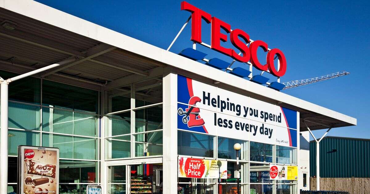 Tesco's 'beautiful' home decor olive tree with lights is an 'absolute bargain'