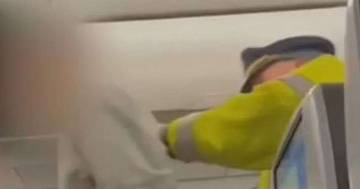 JetBlue flight chaos as man rips open emergency exit and tries to jump out after argument