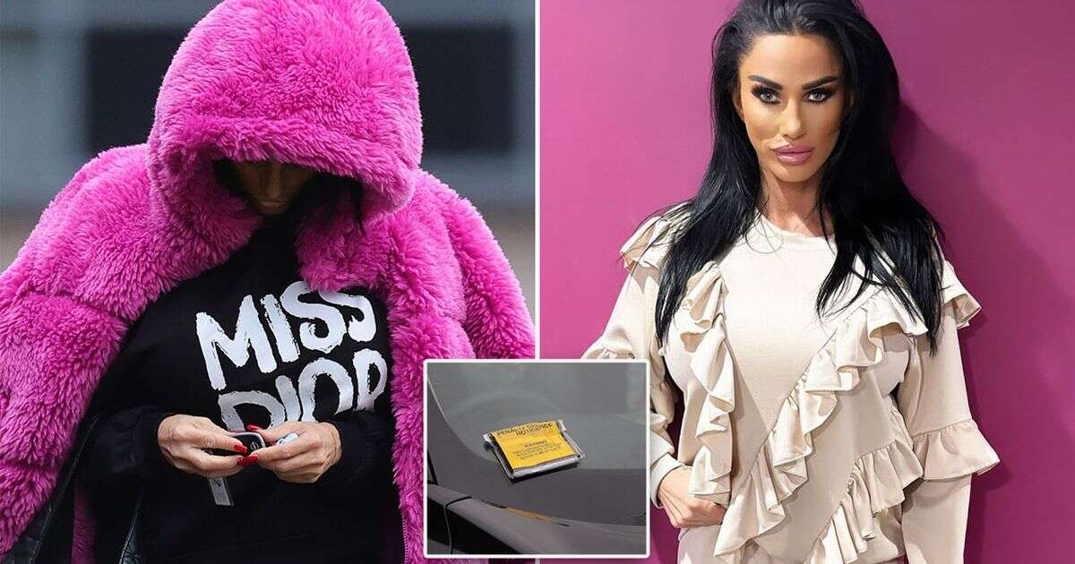 Katie Price buries head as she's slapped with parking fine day after 'misusing' blue badge