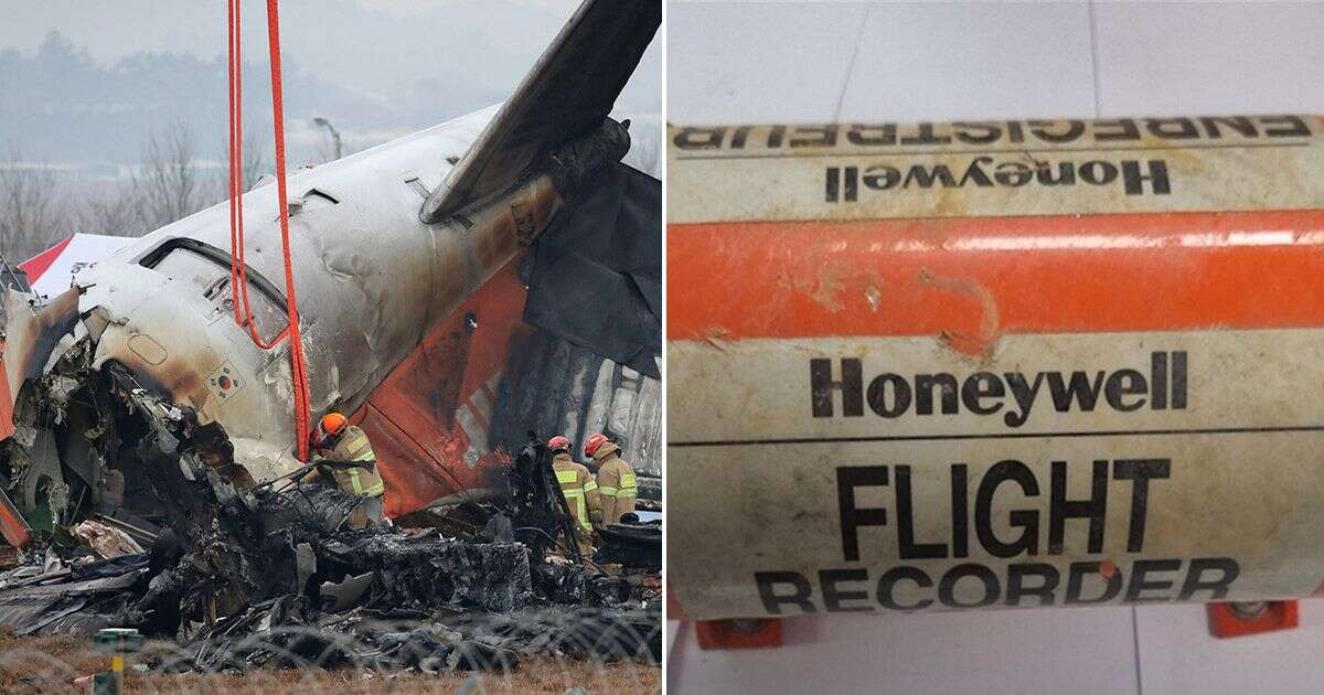 South Korea plane crash: Cockpit black box voice recordings could reveal cause of disaster