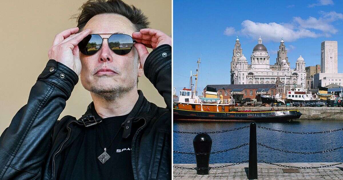 opinion'If Elon Musk’s Scouse Nan were still alive she’d send him this long post on X'