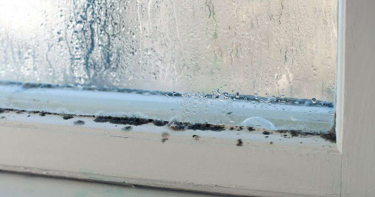 Easy hack gets rid of condensation in just minutes using simple trick