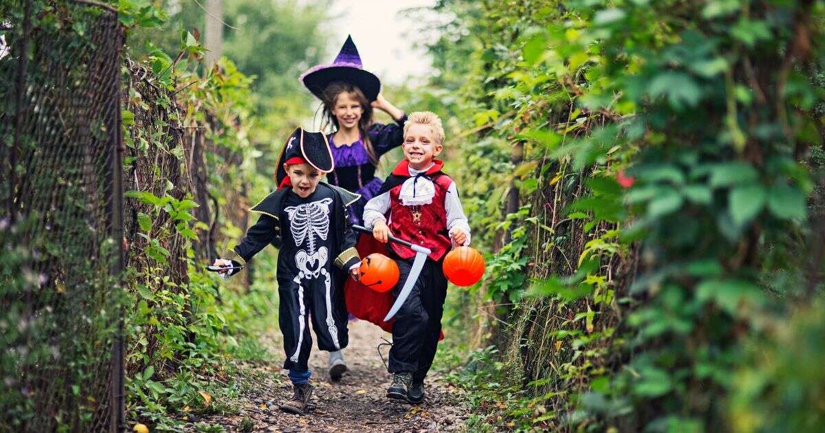 October half term: Save money with free places to eat and cheap spooky walksSave money