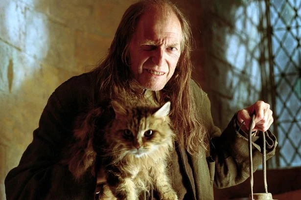 Harry Potter fans just realising Filch actor's son is a telly star in real life