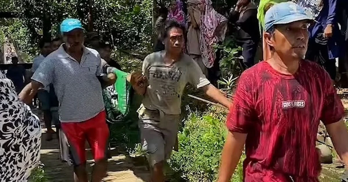 Mum found inside 20ft python as locals cut open beast to make horror discoverySnakes