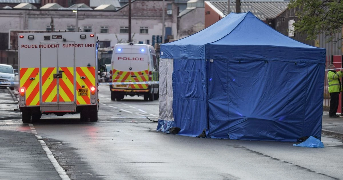 Boy, 17, dies after being chased into shop and stabbed before car crashed nearby