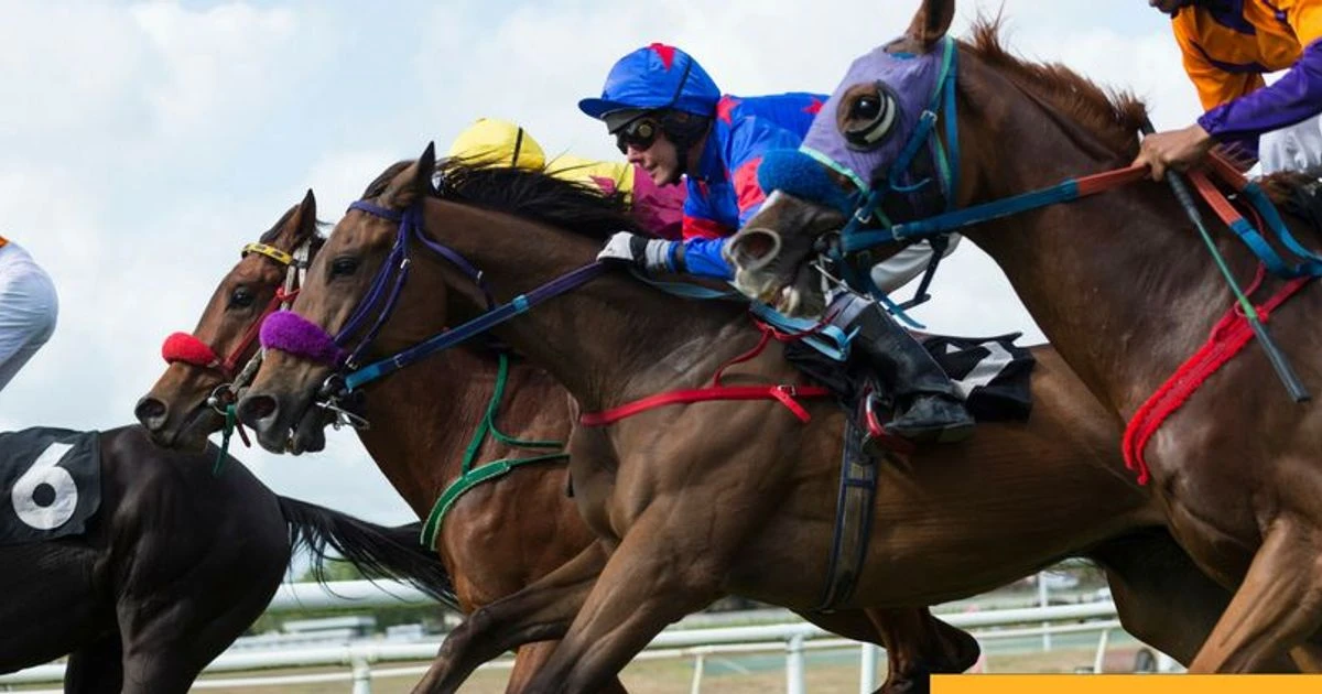 Get a free £5 Betfair Exchange bet - plus expert picks best bets for Ascot this Saturday