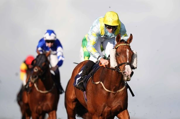 'He can win for the sixth time at Brighton – Jason Heavey's Tuesday tips