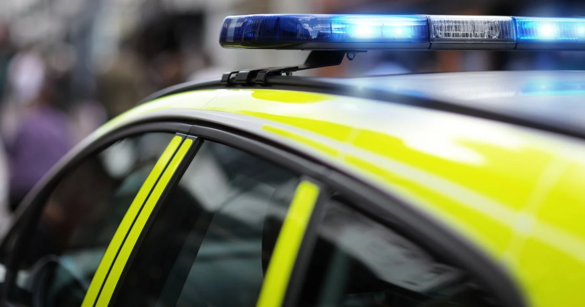 Woman, 43, arrested on suspicion of murder as two kids found dead in home