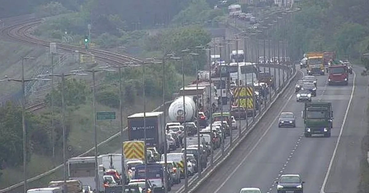 LiveA55 crash LIVE: Traffic chaos after collision with 'cows overturned' on road