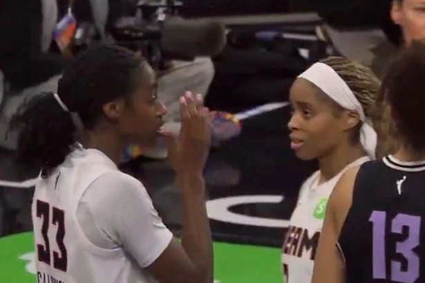 Sex toy causes chaos at WNBA match as shocked players suddenly told to stop playing