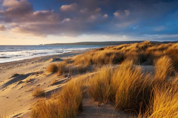Popular UK beach bans booze and anyone found with a beer could be charged £1,000