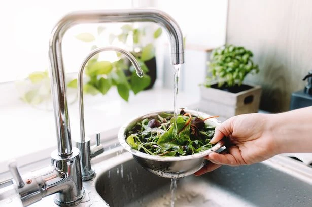 Urgent recall issued over six salad products after food poisoning fears