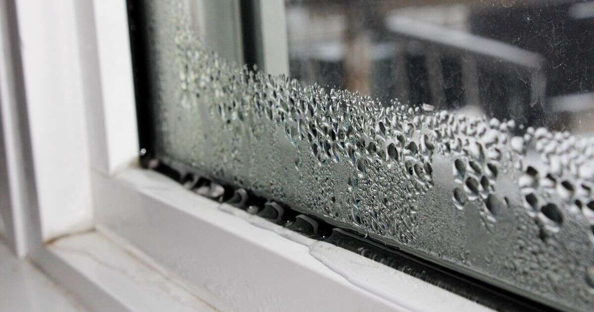 Why you get condensation on windows every morning - and easy ways to stop it