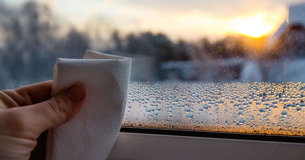 Most common cause of condensation every morning - and simple way to avoid it