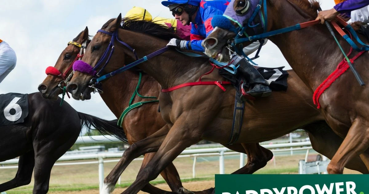 Saturday horse racing: Paddy Power tipster reveals who to back at Wincanton and Doncaster