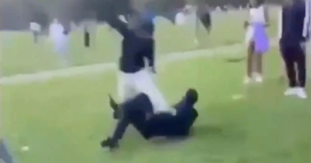 Boy, 17, stabbed with foot-long knives in Hyde Park as witnesses scream in fear